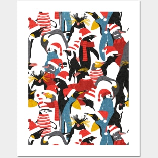 Merry penguins // pattern // black white grey dark teal yellow and coral type species of penguins red dressed for winter and Christmas season (King, African, Emperor, Gentoo, Galápagos, Macaroni, Adèlie, Rockhopper, Yellow-eyed, Chinstrap) Posters and Art